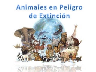 Animales en Peligro  de Extinción  