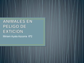 Miriam Ayala Azcorra 6ª2
 