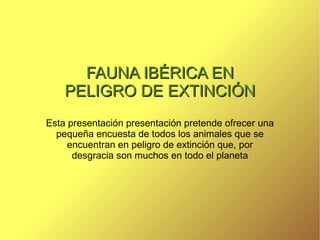 FAUNA IBÉRICA EN PELIGRO DE EXTINCIÓN Esta presentación presentación pretende ofrecer una pequeña encuesta de todos los animales que se encuentran en peligro de extinción que, por desgracia son muchos en todo el planeta 