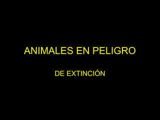 ANIMALES EN PELIGRO
DE EXTINCIÓN
 