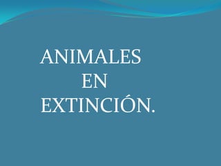 ANIMALES
EN
EXTINCIÓN.
 