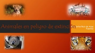 Por: Carlos Ruiz de Azua
Fuentes
Animales en peligro de extinción
 