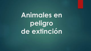 Animales en
peligro
de extinción
 