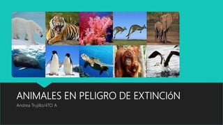 ANIMALES EN PELIGRO DE EXTINCIóN
Andrea Trujillo/4TO A
 