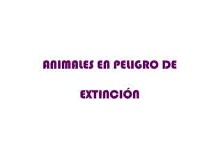 ANIMALES EN PELIGRO DE EXTINCIÓN 