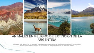 ANIMALES EN PELIGRO DE EXTINCIÓN DE LA
ARGENTINA
Estos son solo algunos de los animales que se encuentran en peligro de extinción en Argentina y un fragmento
microscópico de todos los que se encuentran en peligro de extinción en el mundo entero.
 