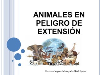 ANIMALES EN PELIGRO DE EXTENSIÓN Elaborado por: Marquela Rodríguez 