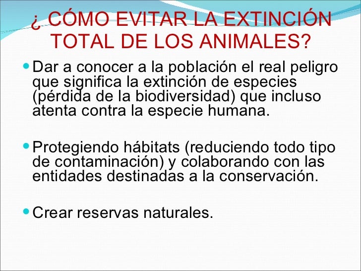 Animales en peligro de extinción Animales en peligro de extinción