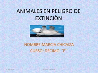 ANIMALES EN PELIGRO DE
                  EXTINCIÒN



               NOMBRE:MARCIA CHICAIZA
                 CURSO: DÈCIMO ``E``



14/05/2012             MARCIA CHICAIZA
 