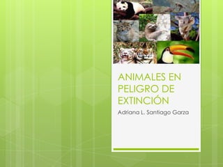 ANIMALES EN
PELIGRO DE
EXTINCIÓN
Adriana L. Santiago Garza
 