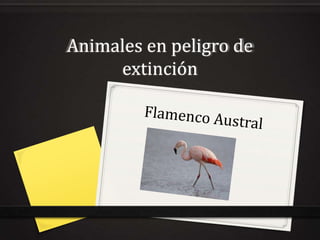 Animales en peligro de
     extinción
 