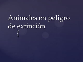Animales en peligro
de extinción

{

 