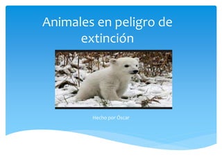 Animales en peligro de 
extinción 
Hecho por Óscar 
 