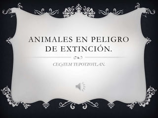 ANIMALES EN PELIGRO 
DE EXTINCIÓN. 
CECyTEM TEPOTZOTLAN. 
 