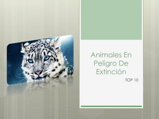 Animales En
Peligro De
Extinción
TOP 10
 