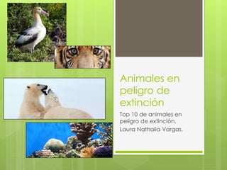 Animales en
peligro de
extinción
Top 10 de animales en
peligro de extinción.
Laura Nathalia Vargas.
 