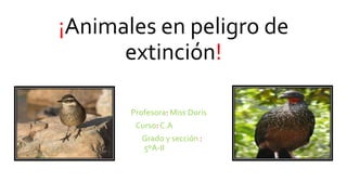 ¡Animales en peligro de
extinción!
Profesora: Miss Doris
Curso: C.A
Grado y sección :
5ºA-II
 