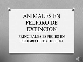 ANIMALES EN
PELIGRO DE
EXTINCIÓN
PRINCIPALES ESPECIES EN
PELIGRO DE EXTINCIÓN
 