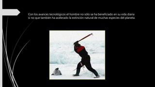Con los avances tecnológicos el hombre no sólo se ha beneficiado en su vida diaria
si no que también ha acelerado la extinción natural de muchas especies del planeta.
 