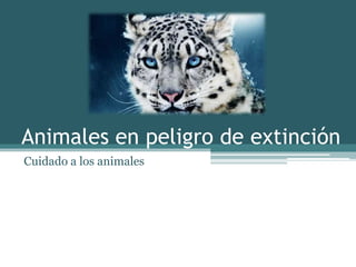 Animales en peligro de extinción
Cuidado a los animales
 