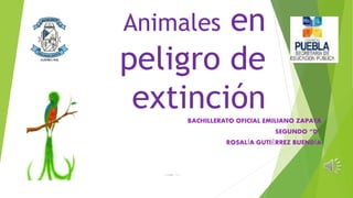 Animales en
peligro de
extinciónBACHILLERATO OFICIAL EMILIANO ZAPATA
SEGUNDO “D”
ROSALÍA GUTIÉRREZ BUENDÍA
 