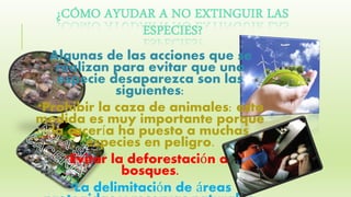 ¿CÓMO AYUDAR A NO EXTINGUIR LAS
ESPECIES?
Algunas de las acciones que se
realizan para evitar que una
especie desaparezca son las
siguientes:
*Prohibir la caza de animales: esta
medida es muy importante porque
la cacería ha puesto a muchas
especies en peligro.
*Evitar la deforestación de
bosques.
*La delimitación de áreas
 