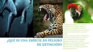 ¿QUÉ ES UNA ESPECIE EN PELIGRO
DE EXTINCIÓN?
Una especie en peligro de extinción,
cualquiera sea su origen, vegetal o
animal, será considerada como tal
cuando su permanencia en el mundo se
encuentre comprometida a un nivel
global.
Es decir, si no se la cuida o se proponen
medidas para preservarla, en el corto
plazo, desaparecerá para siempre.
Cuando una especie se extingue
desaparecerá su exponente y al morirse
su último representante no habrá
reproducción y por ende ni pensar en
nuevas generaciones.
 