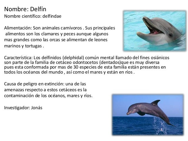 Animales en peligro de extinción