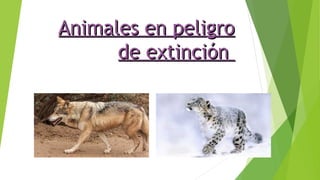 Animales en peligroAnimales en peligro
de extinciónde extinción
 