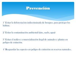 1° Evitar la deforestación indiscriminada de bosques, para proteger los
hábitat.
2° Evitar la contaminación ambiental (aire, suelo, agua)
3° Evitar el trafico y comercialización ilegal de animales y plantas en
peligro de extinción.
4° Resguardar las especies en peligro de extinción en reservas naturales.
Prevención
 