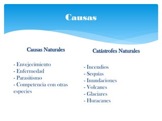 Causas
Causas Naturales
- Envejecimiento
- Enfermedad
- Parasitismo
- Competencia con otras
especies
Catástrofes Naturales
- Incendios
- Sequías
- Inundaciones
- Volcanes
- Glaciares
- Huracanes
 