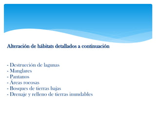 Alteración de hábitats detallados a continuación
- Destrucción de lagunas
- Manglares
- Pantanos
- Áreas rocosas
- Bosques de tierras bajas
- Drenaje y relleno de tierras inundables
 