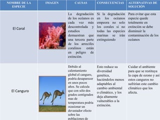 NOMBRE DE LA
ESPECIE
IMAGEN CAUSAS CONSECUENCIAS ALTERNATIVAS DE
SOLUCIÓN
El Coral
La degradación
de los océanos es
cada vez más
descontrolada y
estudios
demuestran que
una tercera parte
de los arrecifes
coralinos están
en peligro de
extinción.
Si la degradación
en los océanos
empeora no solo
los corales si no
todas las especies
marinas se irán
extinguiendo
Para evitar que esta
especie quede
totalmente en
extinción se debe
disminuir la
contaminación de los
océanos
El Canguro
Debido al
calentamiento
global el canguro,
podría desaparecer
en unos pocos
años. Se calcula
que con sólo dos
grados centígrados
mas de
temperatura podría
ocasionar un
devastador efecto
sobre las
poblaciones de
Esto reduce su
diversidad
genética,
haciéndolos menos
adaptables al
cambio ambiental
o climático, y los
deja altamente
vulnerables a la
extinción.
Cuidar el ambiente
para que se restituya
la capa de ozono y así
estos canguros no
sufrirían este cambio
climático que los
afecta.
 