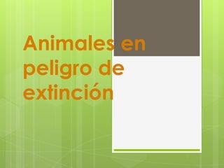 Animales en
peligro de
extinción
 
