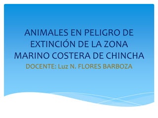 ANIMALES EN PELIGRO DE
  EXTINCIÓN DE LA ZONA
MARINO COSTERA DE CHINCHA
  DOCENTE: Luz N. FLORES BARBOZA
 