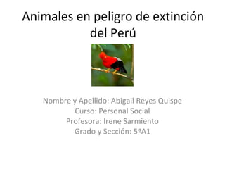 Animales en peligro de extinción
del Perú
Nombre y Apellido: Abigail Reyes Quispe
Curso: Personal Social
Profesora: Irene Sarmiento
Grado y Sección: 5ºA1
 
