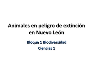 Animales en peligro de extinción en Nuevo León Bloque 1 Biodiversidad Ciencias 1 