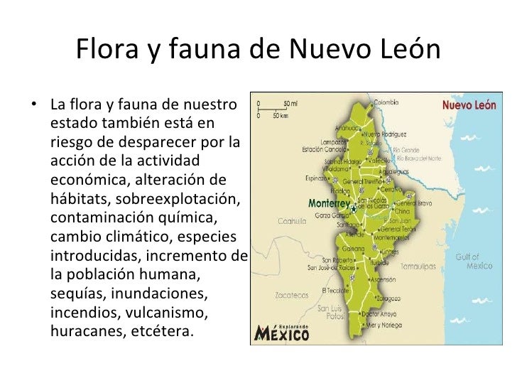 Animales en peligro de extinción en Nuevo León