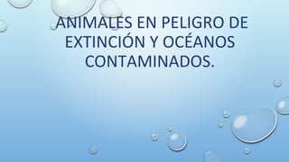 ANIMALES EN PELIGRO DE
EXTINCIÓN Y OCÉANOS
CONTAMINADOS.
 