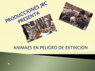 PRODUCCIONES JBCPRESENTA ANIMAES EN PELIGRO DE EXTINCION 