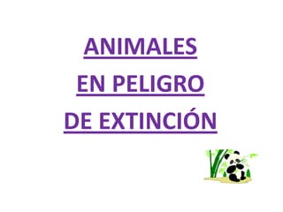 ANIMALES  EN PELIGRO DE EXTINCIÓN 