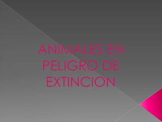 ANIMALES EN PELIGRO DE EXTINCION  