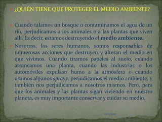 03/11/2010¿QUIÉN TIENE QUE PROTEGER EL MEDIO AMBIENTE?