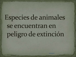 03/11/2010Especies de animales se encuentran en peligro de extinción03/11/201003/11/2010
