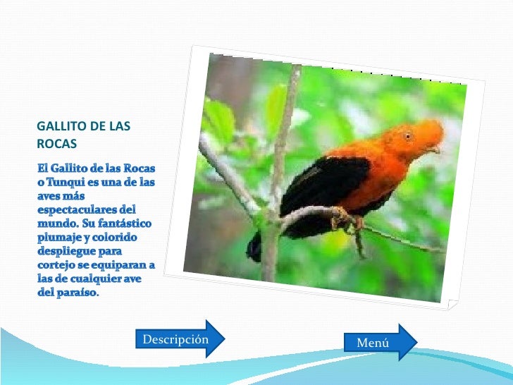 Animales en peligro de extincion