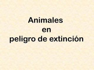 Animales
         en
peligro de extinción
 