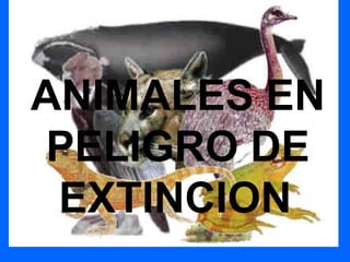 ANIMALES EN
 PELIGRO DE
 EXTINCION
 