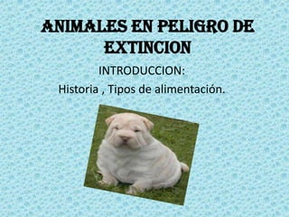ANIMALES EN PELIGRO DE
      EXTINCION
         INTRODUCCION:
 Historia , Tipos de alimentación.
 