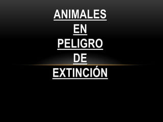 ANIMALES
   EN
 PELIGRO
   DE
EXTINCIÓN
 