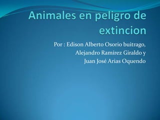 Por : Edison Alberto Osorio buitrago,
         Alejandro Ramírez Giraldo y
            Juan José Arias Oquendo
 